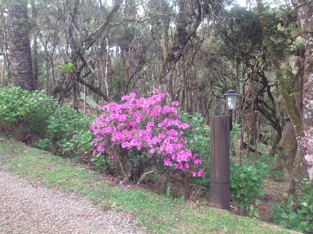 Chales Do Ferradura Campos do Jordão 외부 사진