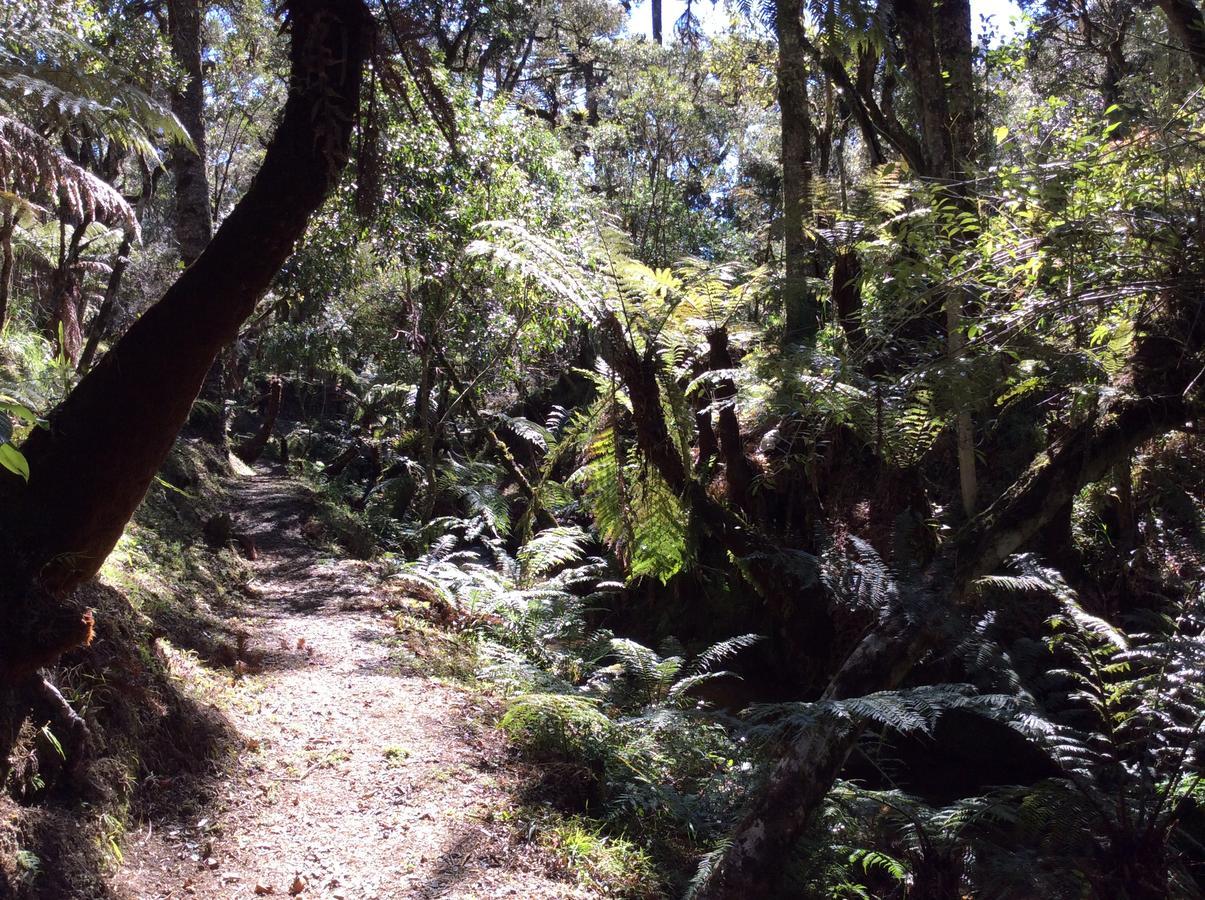Chales Do Ferradura Campos do Jordão 외부 사진