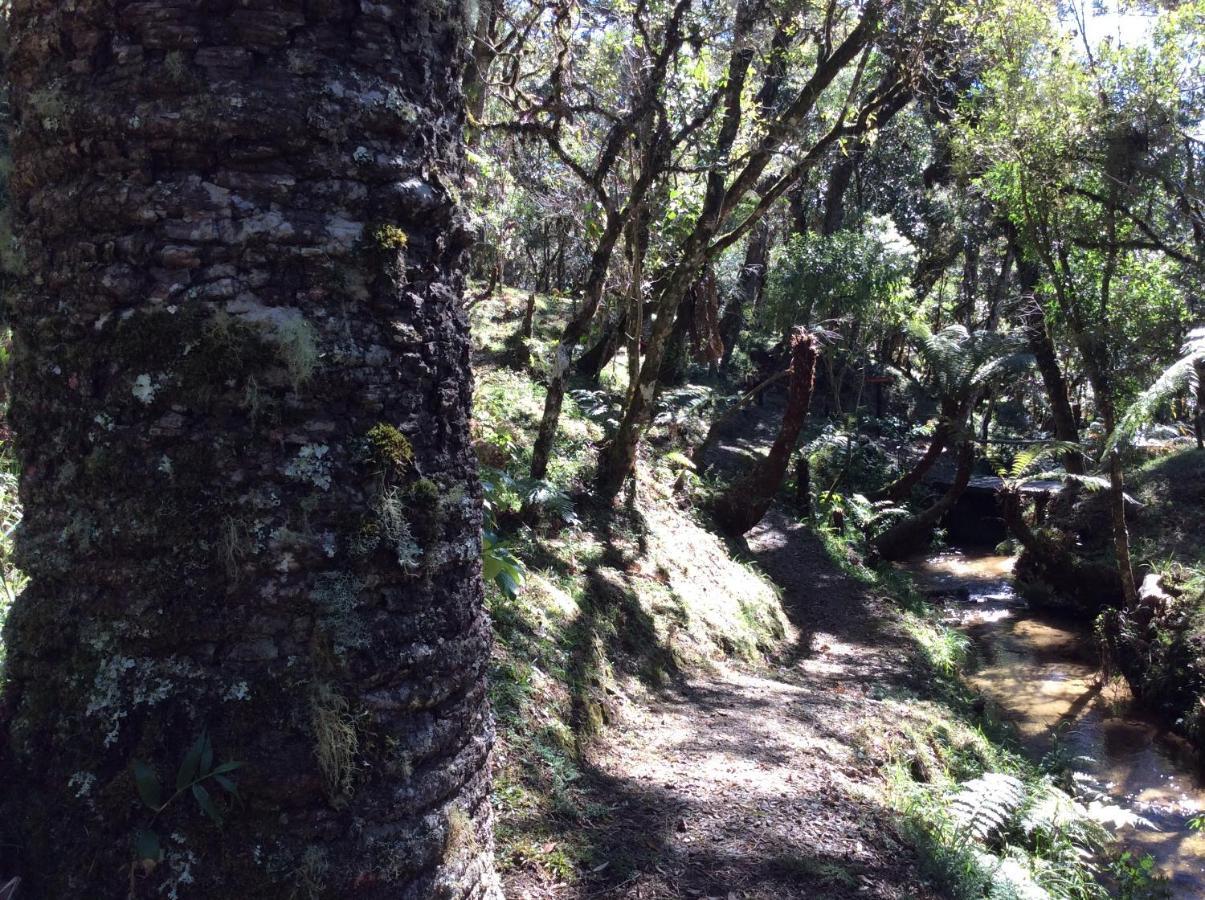 Chales Do Ferradura Campos do Jordão 외부 사진